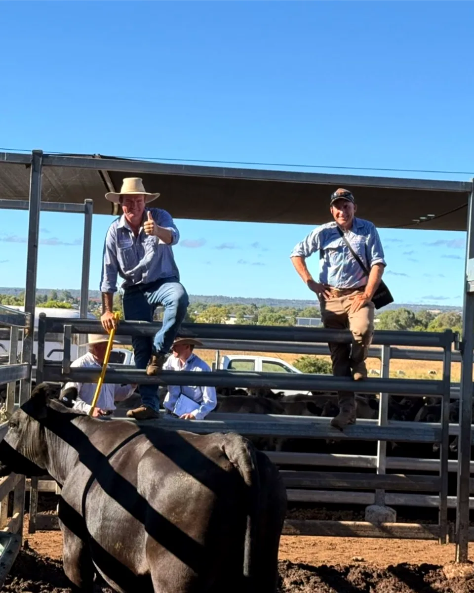 Advantage Access on-site with a landholder at the cattle yards.